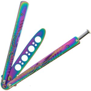 butterfly-trainer-rainbow~2